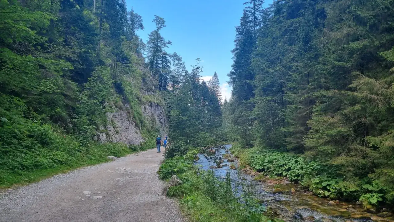 Czy dolina kościeliska jest otwarta: aktualne informacje dla turystów 2024