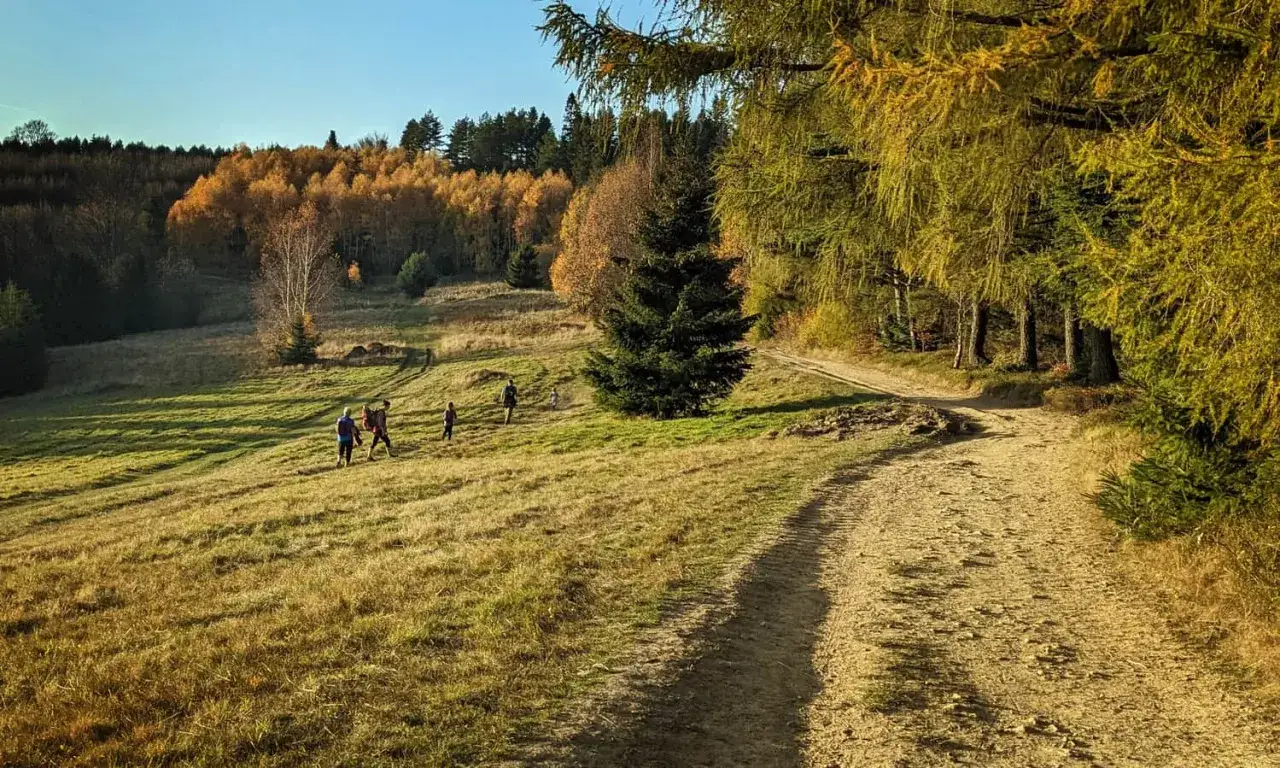 Jesienny spacer po górach. Grupa turystów idzie ścieżką w kierunku bacówki na obidzy, otoczonej kolorowymi drzewami.