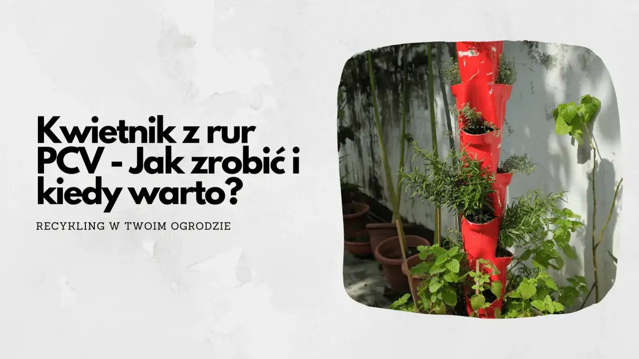 Pionowy kwietnik z rury PCV, wypełniony ziołami. Dowiedz się, jak zrobić taki kwietnik i kiedy warto go wykonać.