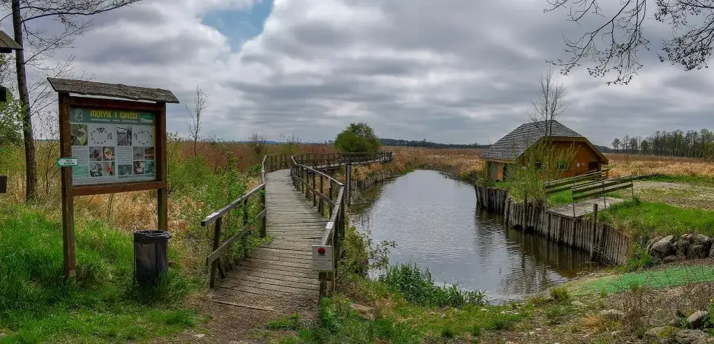 Najpiękniejsze miejsca na Podlasiu, które musisz zobaczyć w Polsce