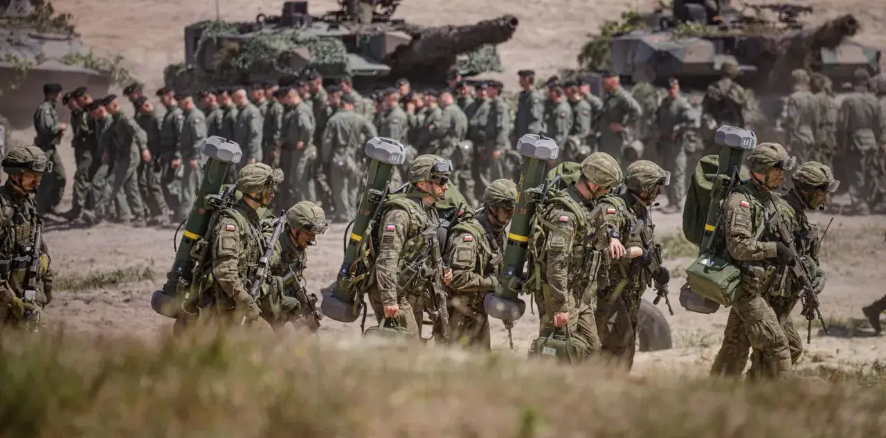 Jak zostać żołnierzem zawodowym po studiach i zdobyć awans