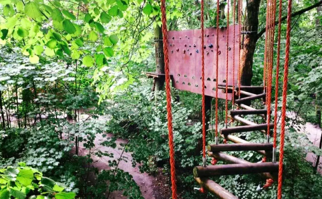 Park Linowy Barbarka: trasy, ceny, dojazd. Planuj rodzinny wypad!