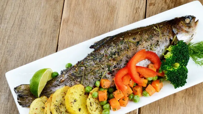 Kiedy świeże ryby nad morzem? Sprawdź, co złowisz latem w Bałtyku