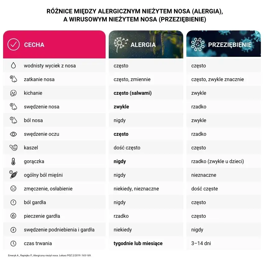 Objawy uczulenia na sierść: Jak odróżnić alergię od przeziębienia?