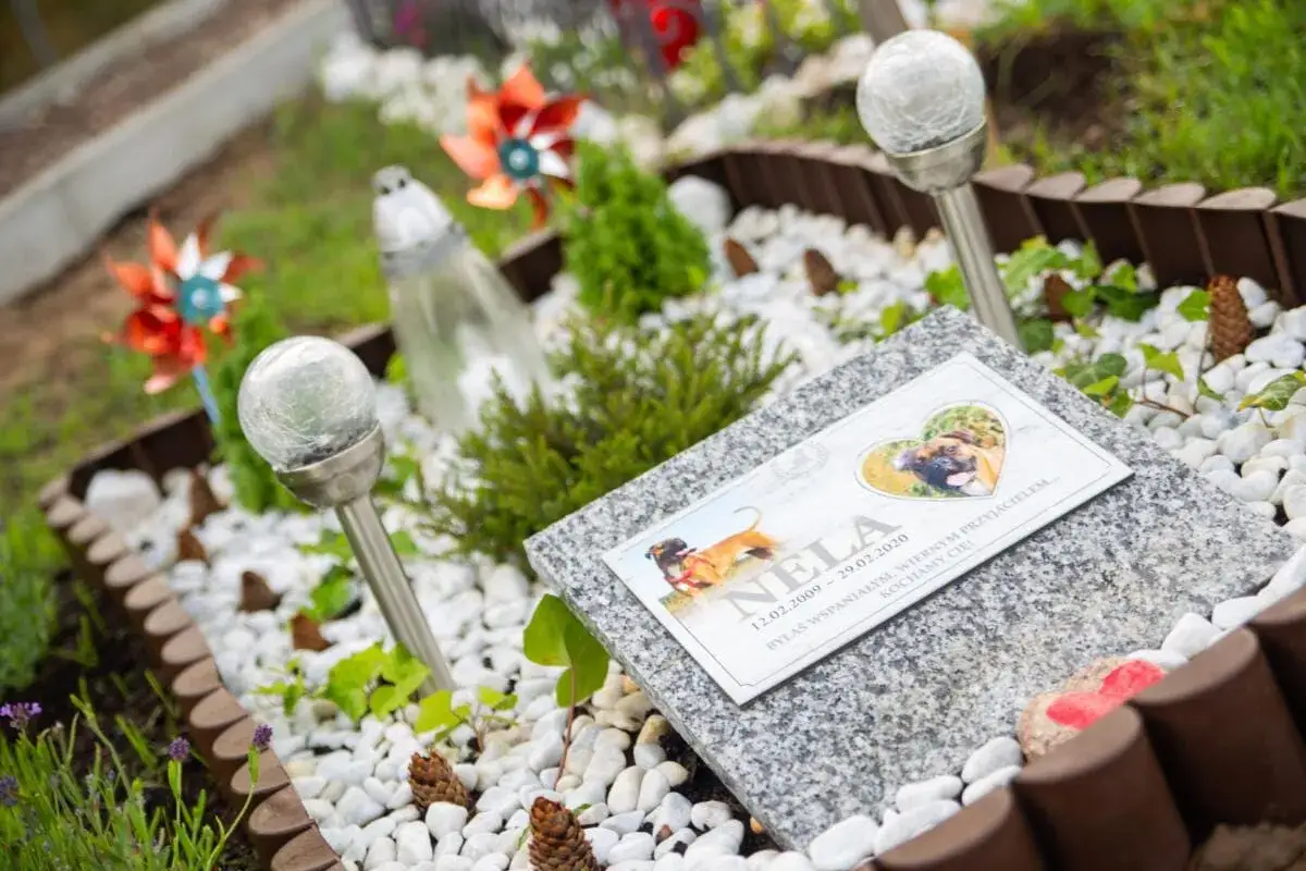 Nagrobek Neli, psa, który odszedł. Pytanie "ile kosztuje spalenie kota" nie ma tu zastosowania.