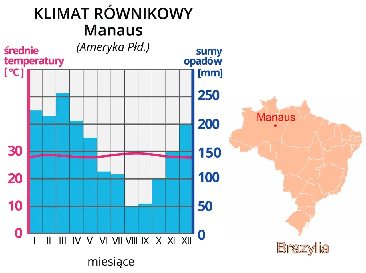 Co powoduje gorący i wilgotny klimat lasów równikowych? Zaskakujące fakty
