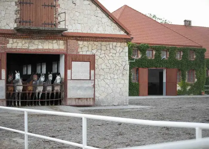 Michałów stadnina - odkryj tajemnice największej hodowli koni arabskich