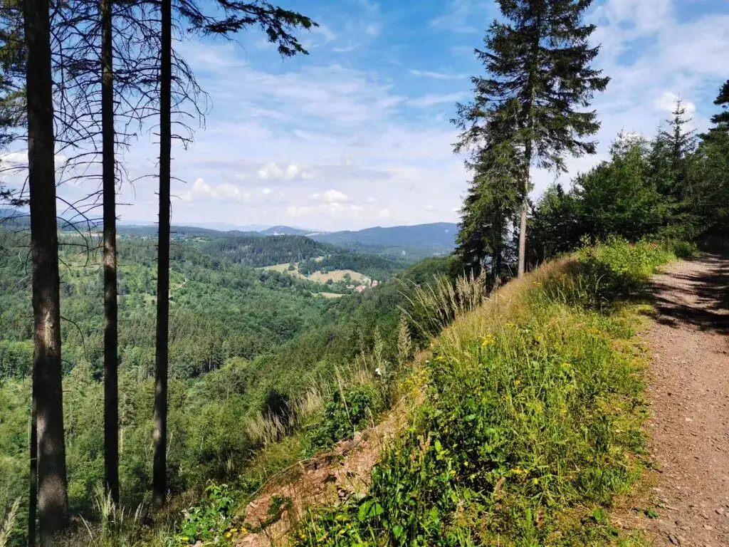 Najlepsze trasy rowerowe w Wałbrzychu: odkryj ukryte skarby regionu
