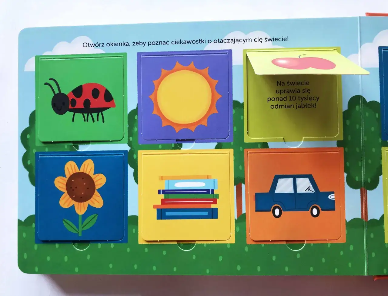 Kolorowe okienka z obrazkami (biedronka, słońce, jabłko, kwiat, książki, auto) to pomoce dydaktyczne dla dzieci niesłyszących.