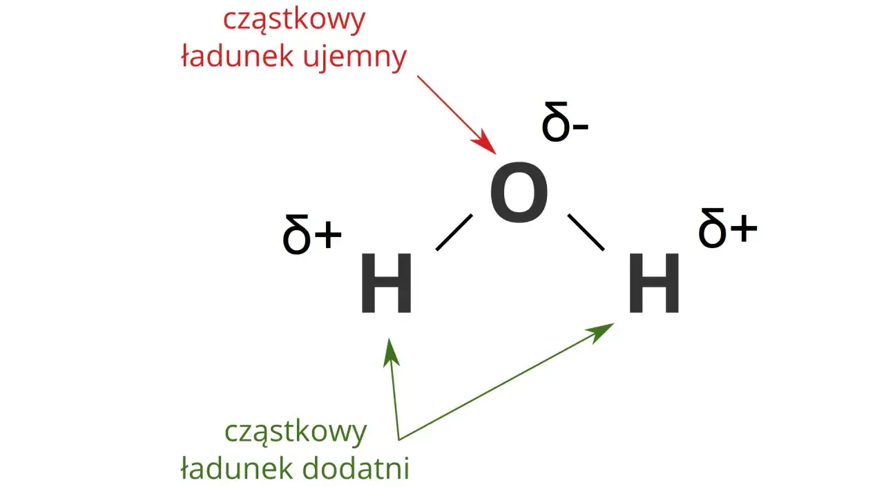 Ile atomów ma cząsteczka wody i dlaczego to ważne w chemii?