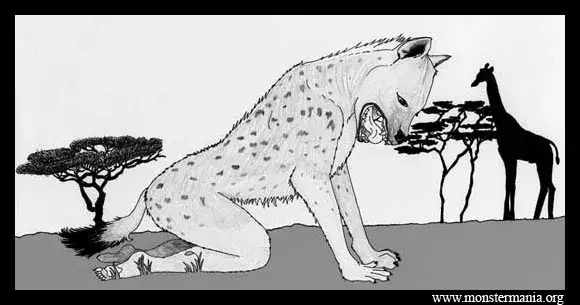 Który ptak jest symbolem RPA? Poznaj żurawia rajskiego i jego znaczenie