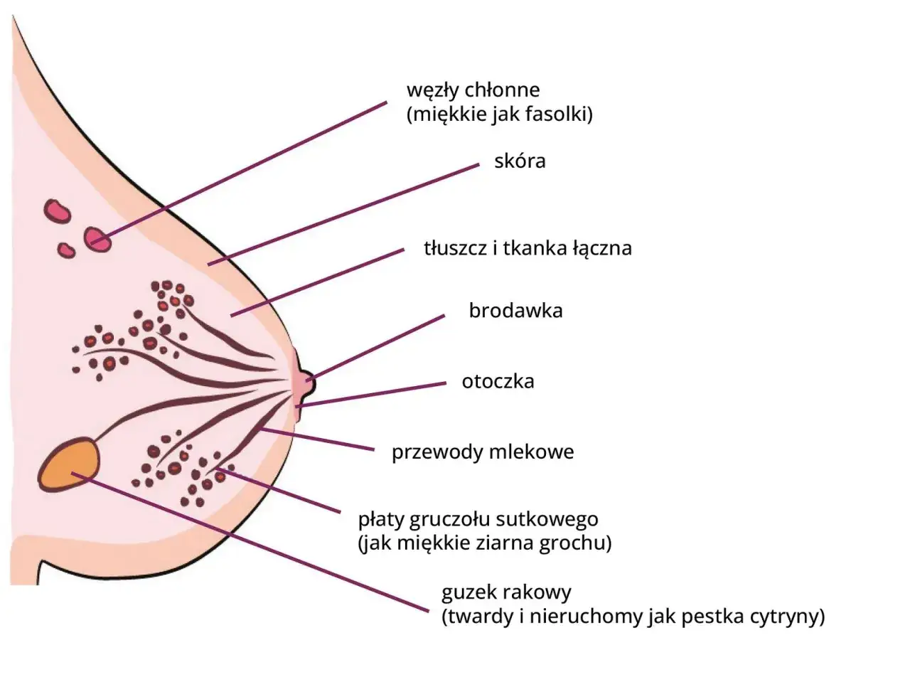 Masaż piersi: jędrność, zdrowie, samobadanie. Czy znasz wszystkie korzyści?