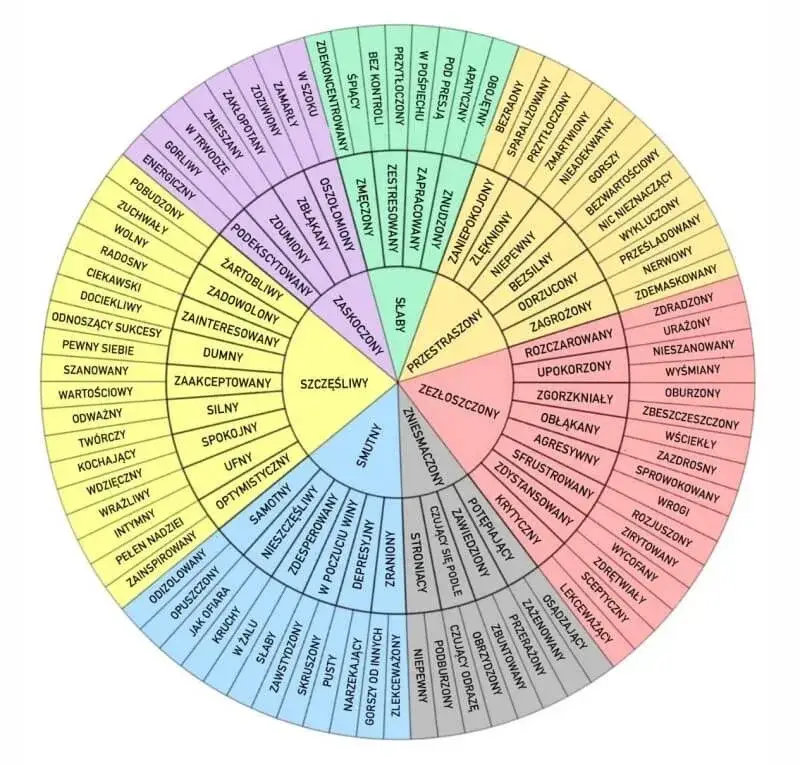 Czy uczucia rządzą człowiekiem? Przykłady emocji w literaturze