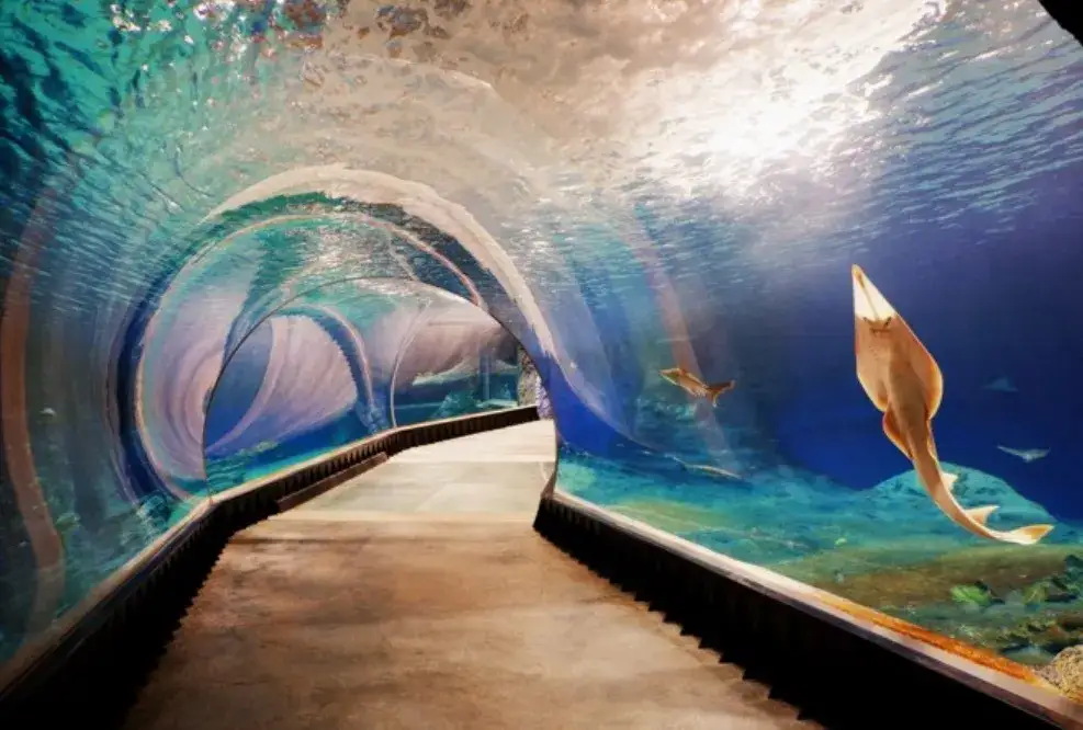 Hotele blisko oceanarium Wrocław – komfortowe noclegi w pobliżu