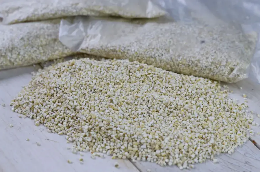 Ile gotować kaszę w woreczku? Czas, porady i zdrowie