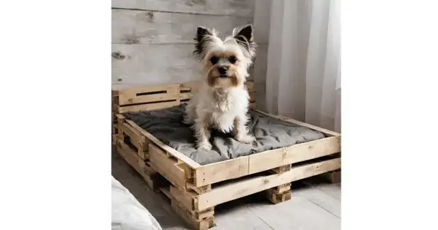 Jak zrobić legowisko dla psa z palet – tanio i wygodnie dla pupila