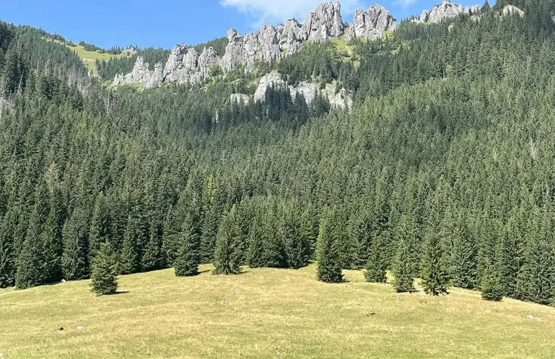 Siwa Polana i dolina Chochołowska: najłatwiejszy dojazd w Tatry