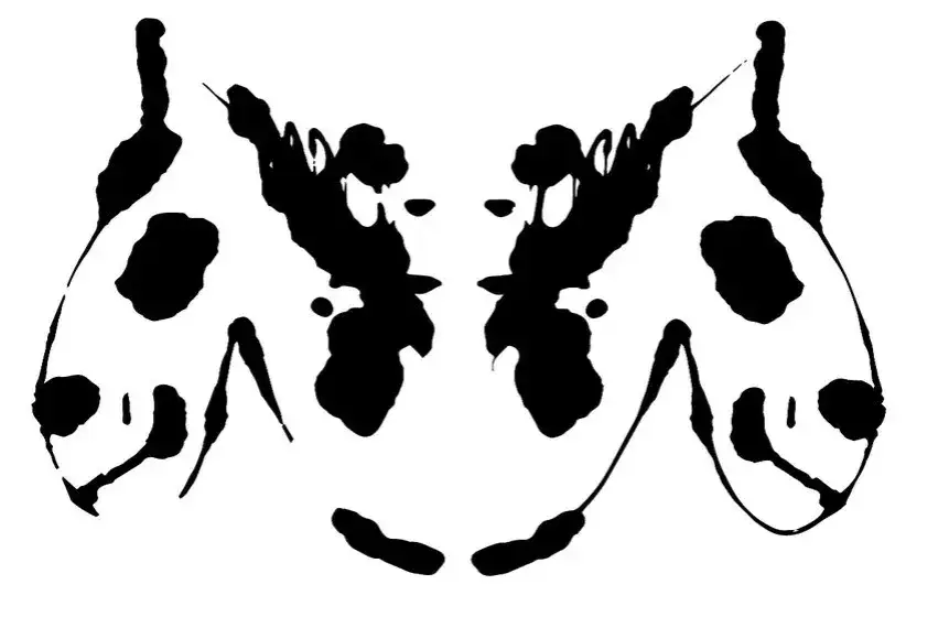Jaki koń najlepiej Cię opisuje? Psychozabawa osobowości!