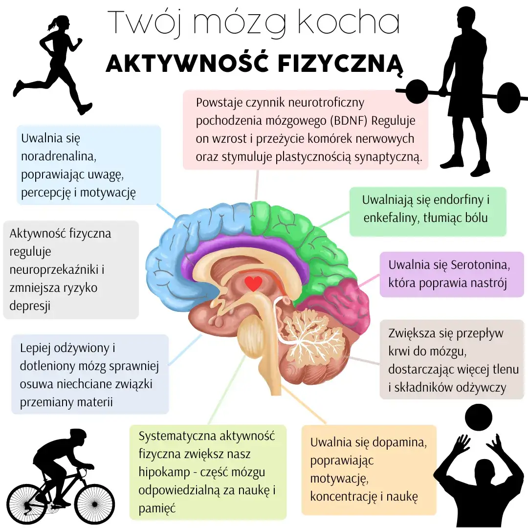 Jak aktywność fizyczna wpływa na zdrowie psychiczne: korzyści i naukowe dowody