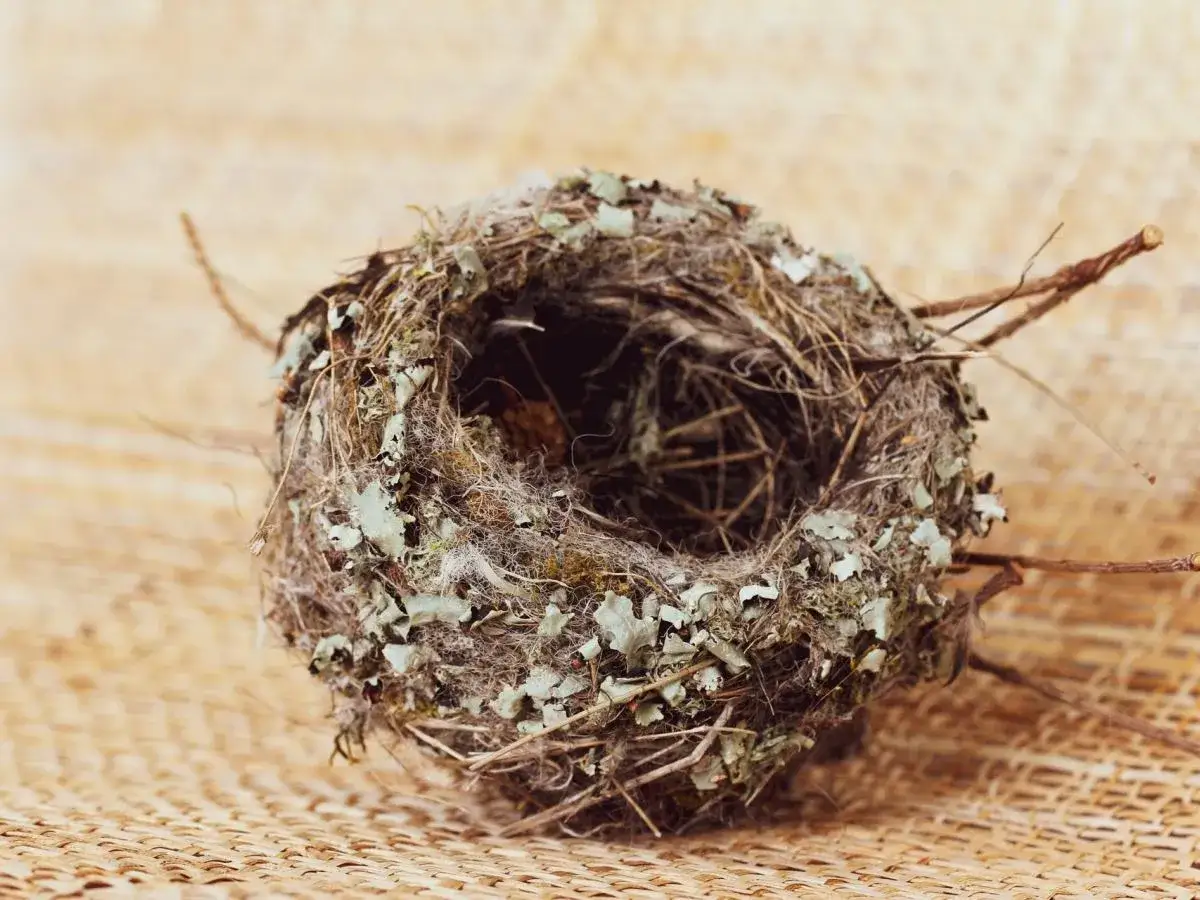 Czy to syndrom pustego gniazda? Objawy i jak przekuć kryzys w szansę