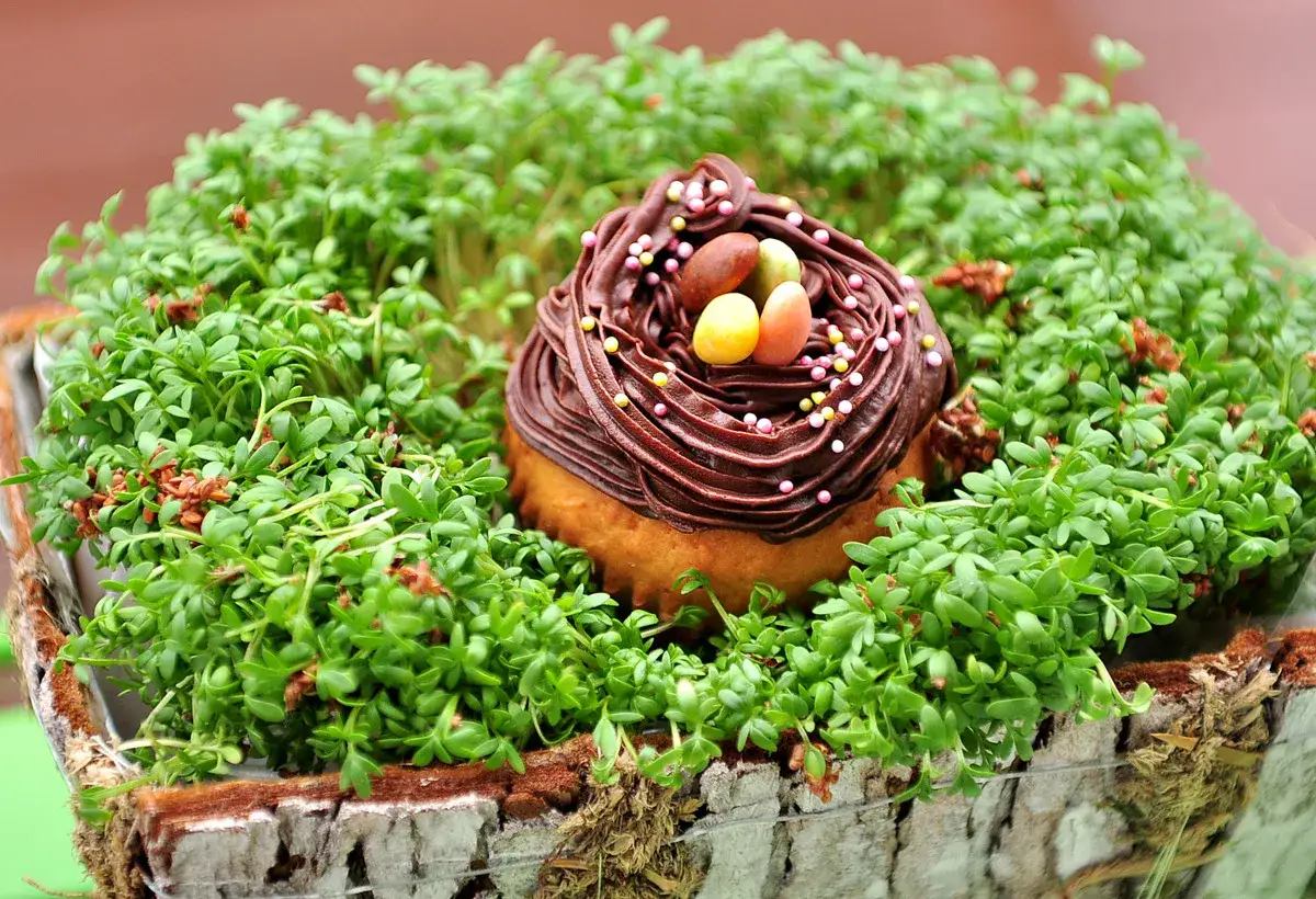 Gniazdka na babeczki wielkanocne: 3 proste metody krok po kroku