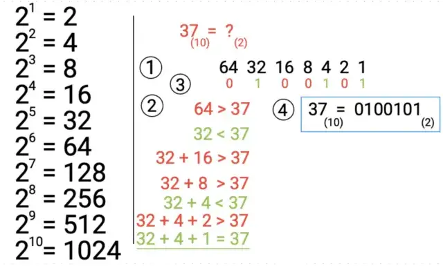 Jak przeliczyć system dziesiętny na binarny - łatwe kroki do sukcesu