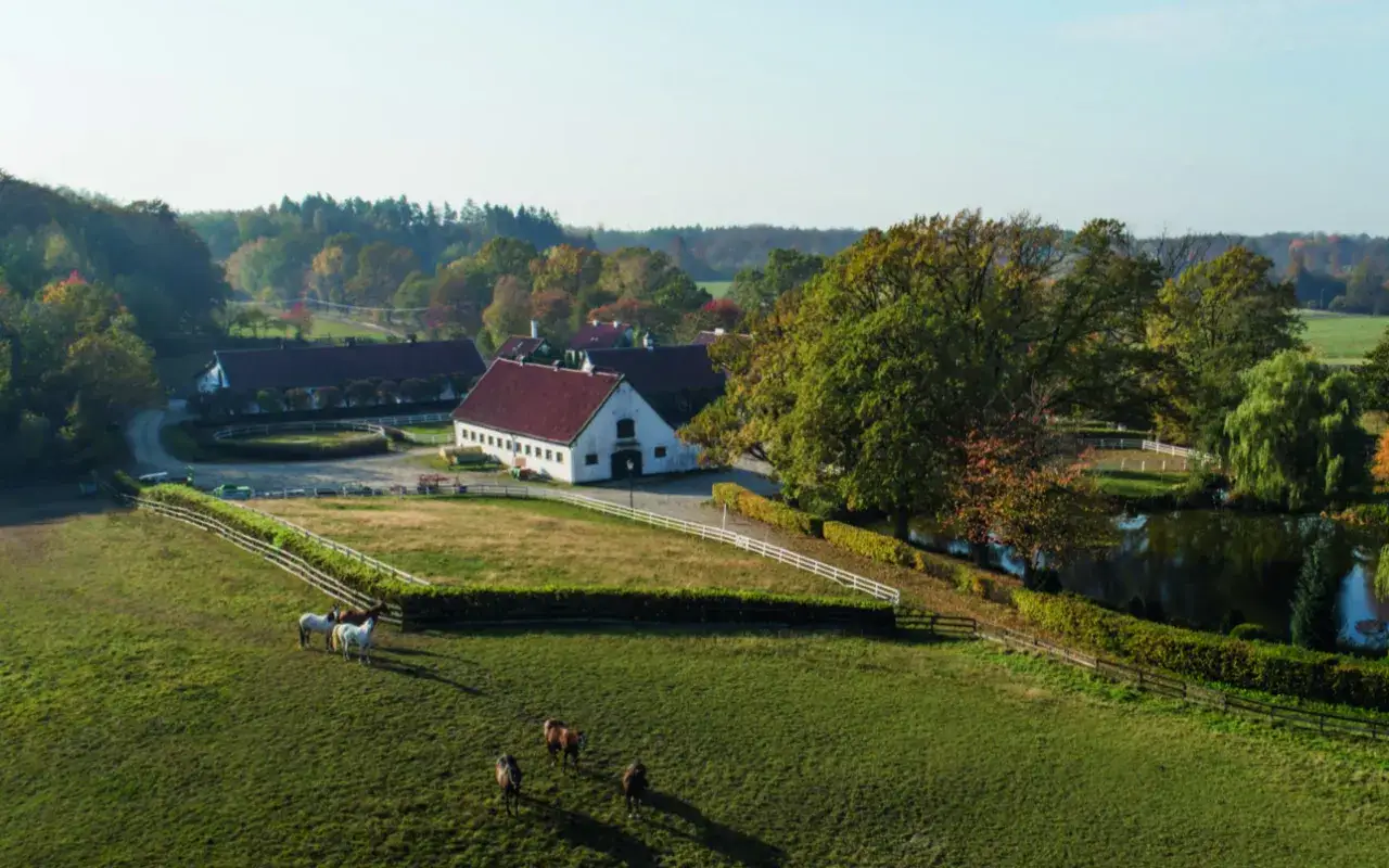Stadniny na sprzedaż - idealne miejsce dla miłośników koni i przyrody