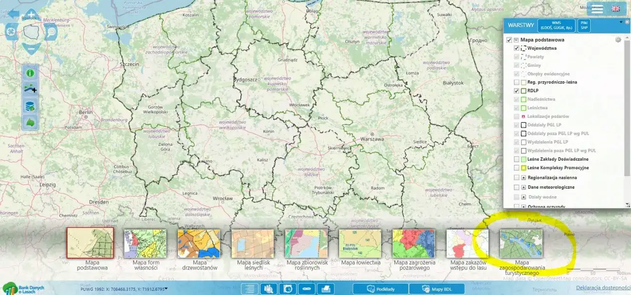 Zanocuj w lesie: Legalne biwakowanie i zasady programu „Zanocuj w lesie”