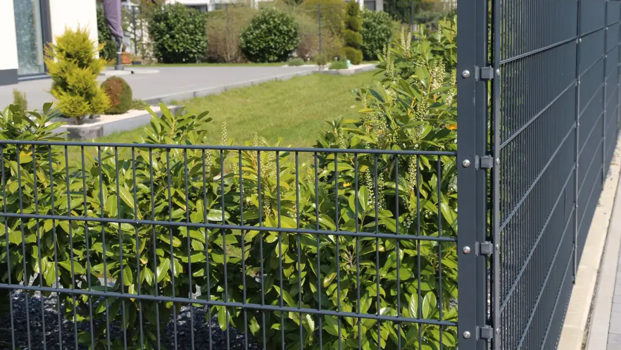 Jak skutecznie zakryć ogrodzenie z siatki dla większej prywatności