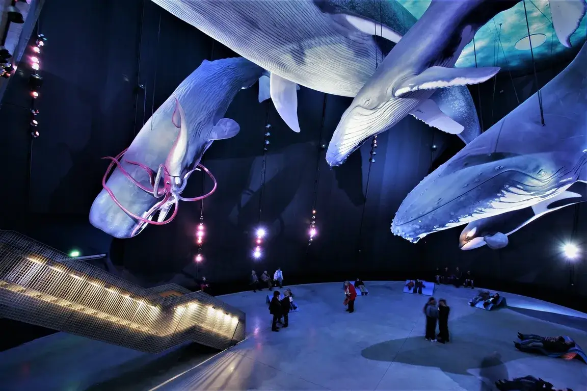 Ozeaneum Stralsund bilety: Ceny, online, godziny i atrakcje