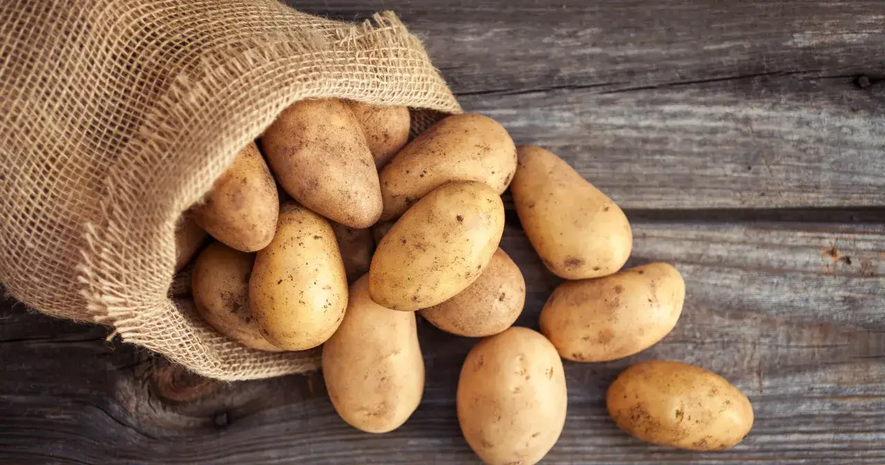 Najlepsze odmiany ziemniaka na frytki, które zapewnią idealny smak
