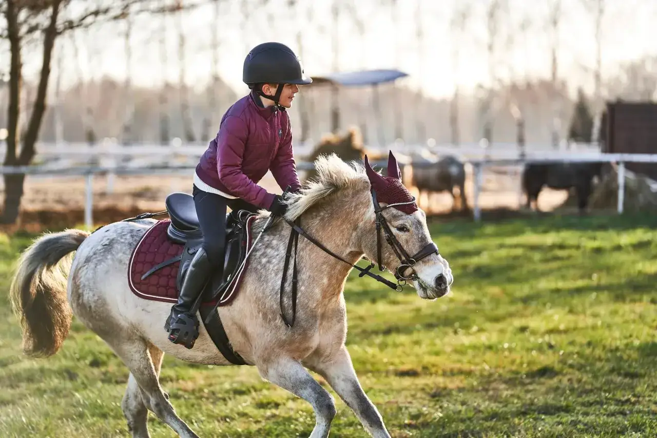 Młoda amazonka w kasku i bordowej kurtce galopuje na jasnym koniu. To nauka jazdy w Ludowym Klubie Jeździeckim Klaudyn Kampinos.