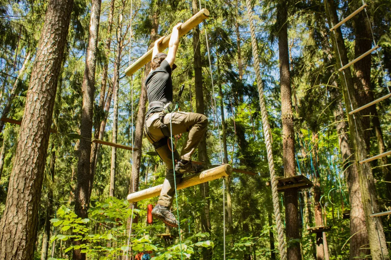 Park Linowy Olsztyn: Leśny Park Przygody Cennik, Trasy, Porady