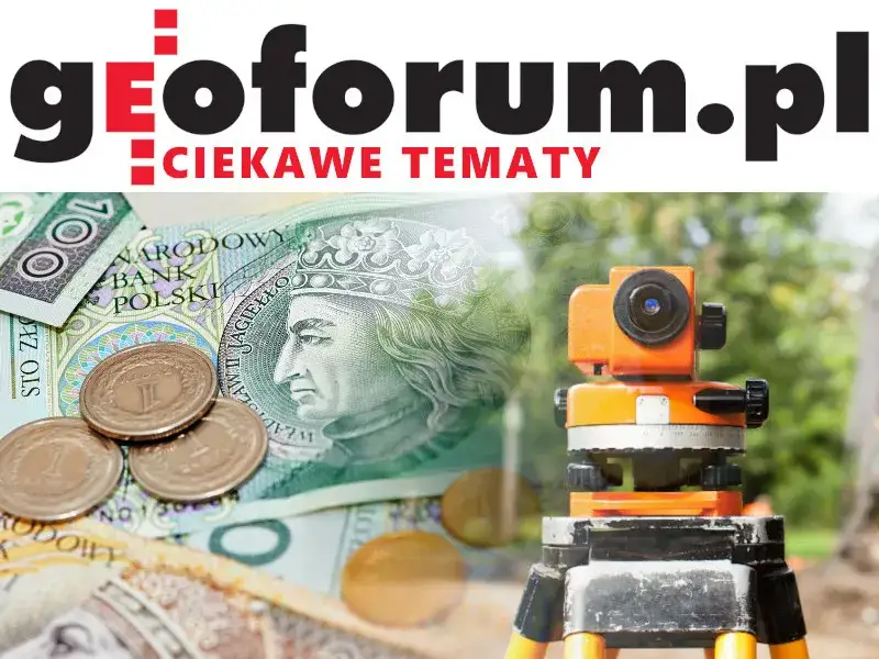 Ile kosztuje słupek graniczny? Geodeta: Ceny i ukryte koszty