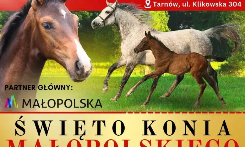 Imprezy w Klikowej stadninie: poznaj nadchodzące wydarzenia i atrakcje