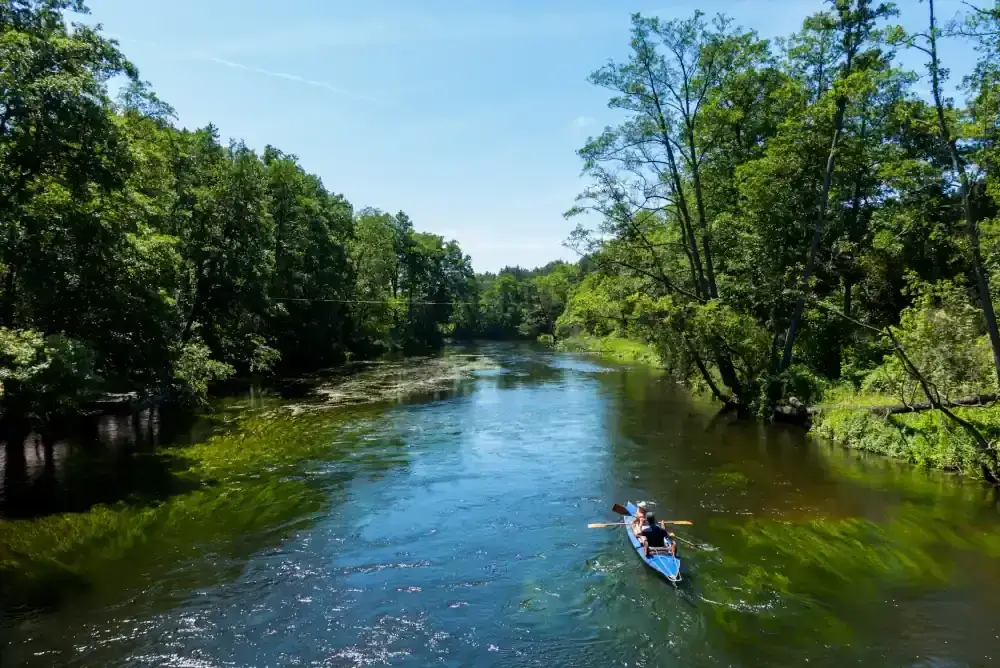 Bory Tucholskie: Atrakcje, szlaki, jeziora. Twój przewodnik po naturze