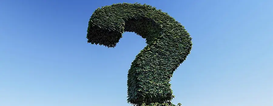 Kto pyta nie błądzi cytaty – poznaj mądrość przysłowia i jego znaczenie