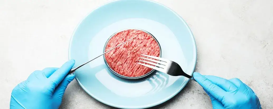Mięso z laboratorium gdzie kupić? Sprawdź, dlaczego jeszcze nie ma go w Polsce