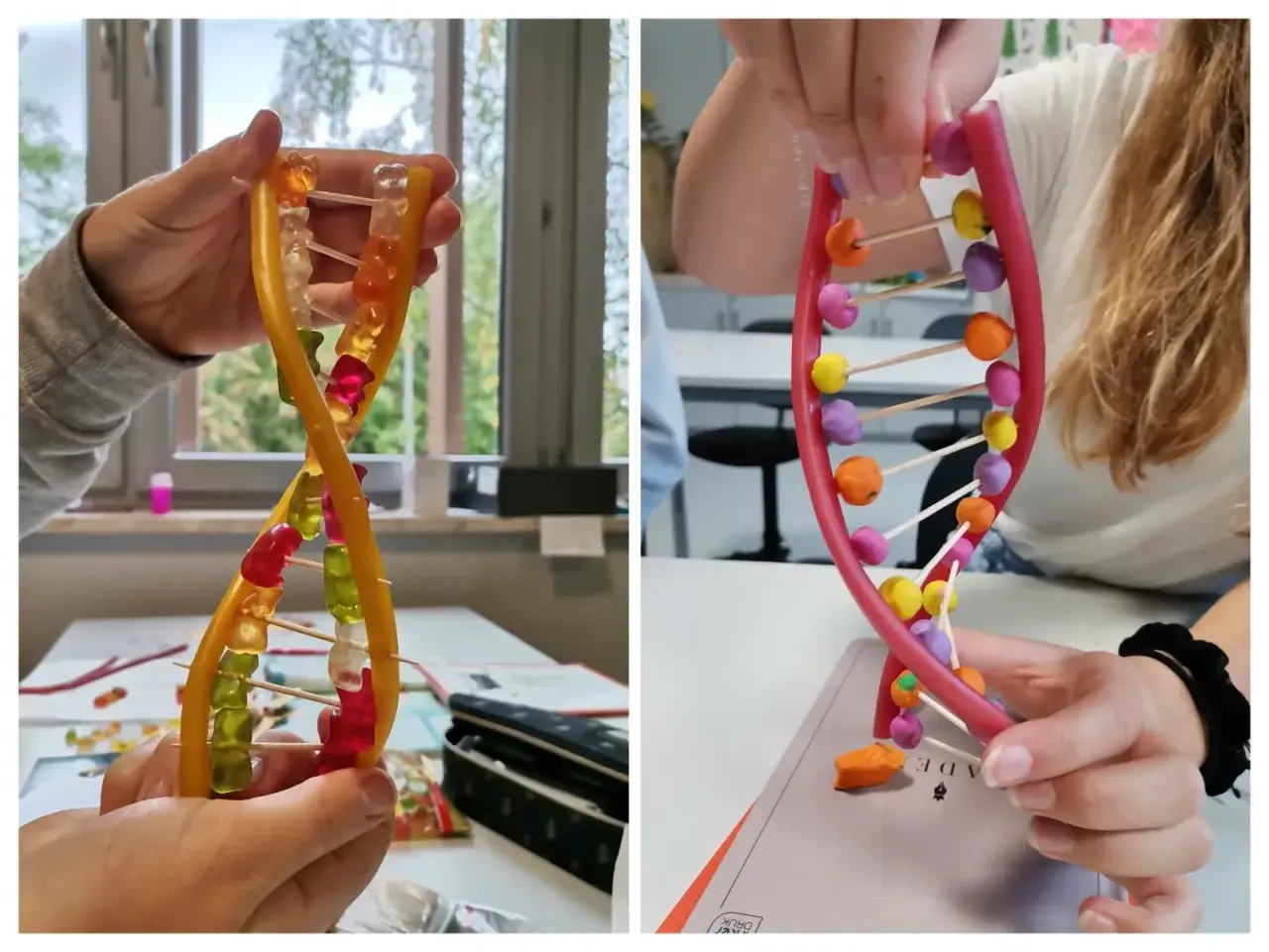 Jak zrobić model DNA z koralików? Dwie ręce tworzą podwójną helisę z żelków i plasteliny, pokazując kreatywny sposób na naukę biologii.