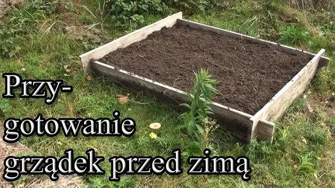 Jak przygotować ogród warzywny na zimę, aby uniknąć strat i chorób