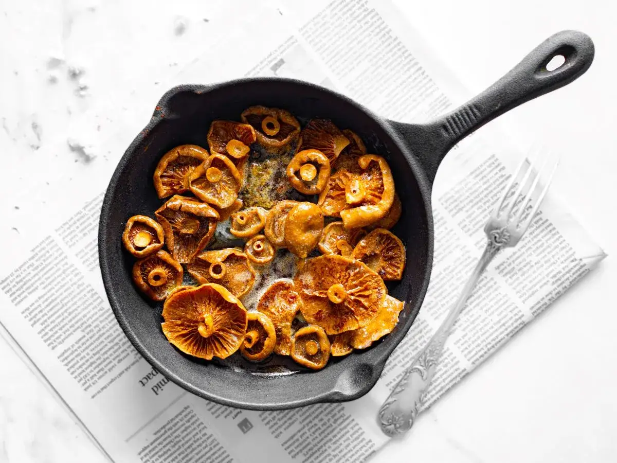 Jak przyrządzić rydze na obiad? 7 przepisów i sekrety mistrza!