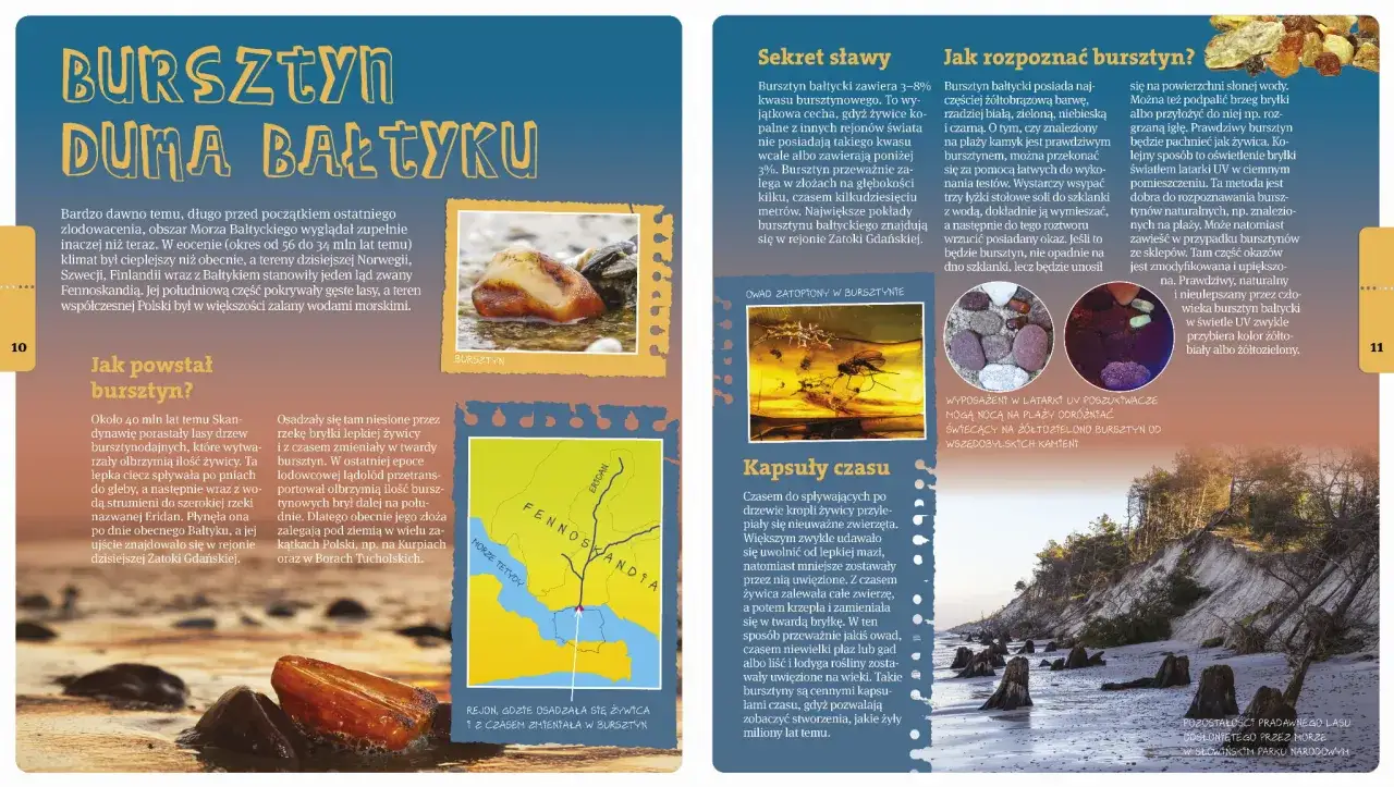 Jak powstało morze? Fascynująca historia formowania Bałtyku