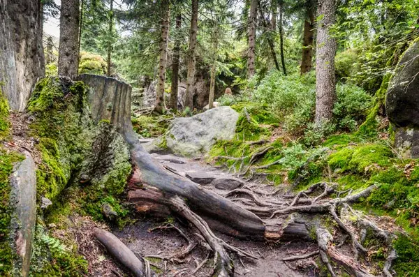 Kudowa Zdrój jakie góry: odkryj tajemnice górskich szlaków