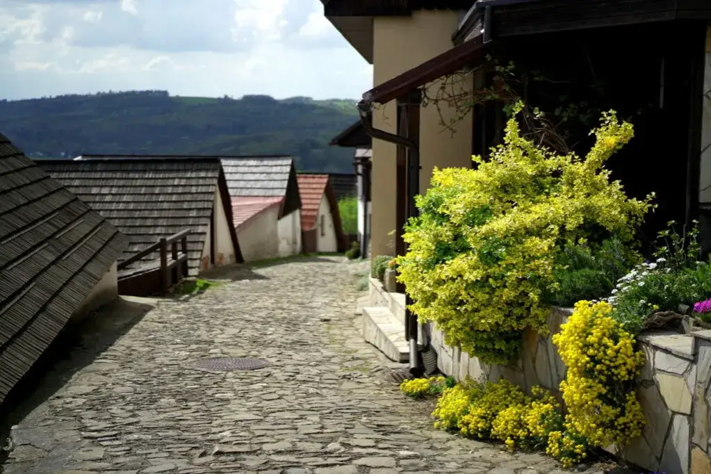 Najciekawsze atrakcje w Sztramberku, które musisz zobaczyć