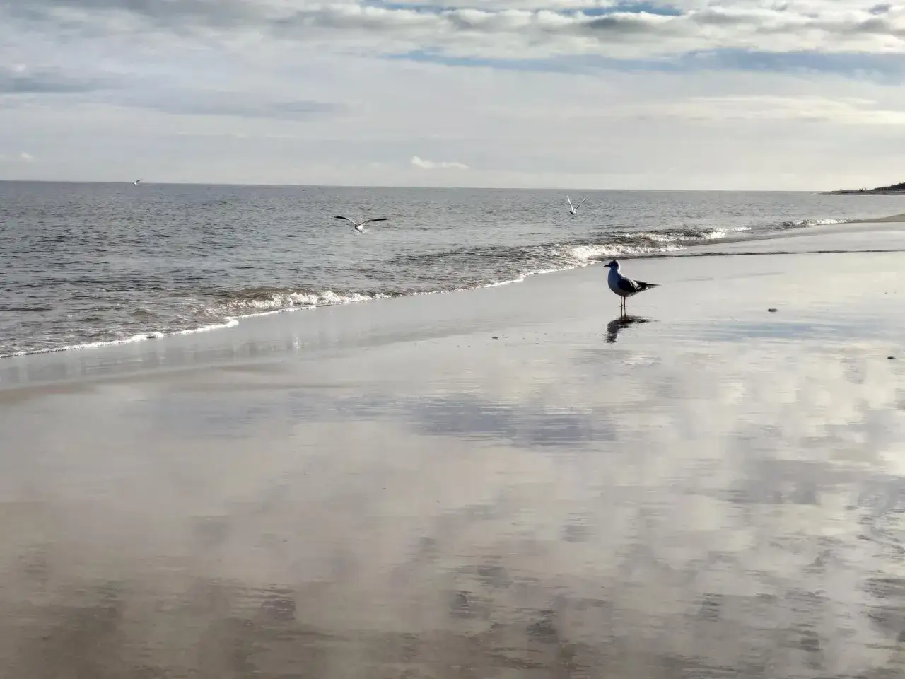 Kąpiel w Bałtyku: Kiedy jest bezpieczna i komfortowa?