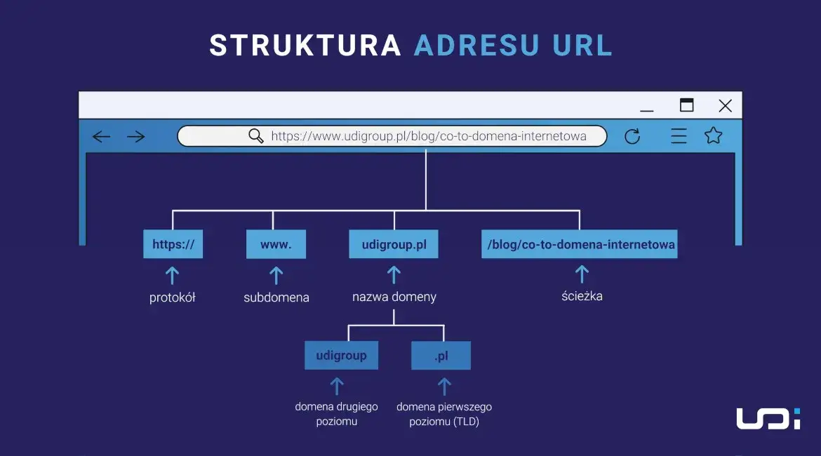 Domena internetowa: Co to, jak działa, ile kosztuje? Kompletny przewodnik