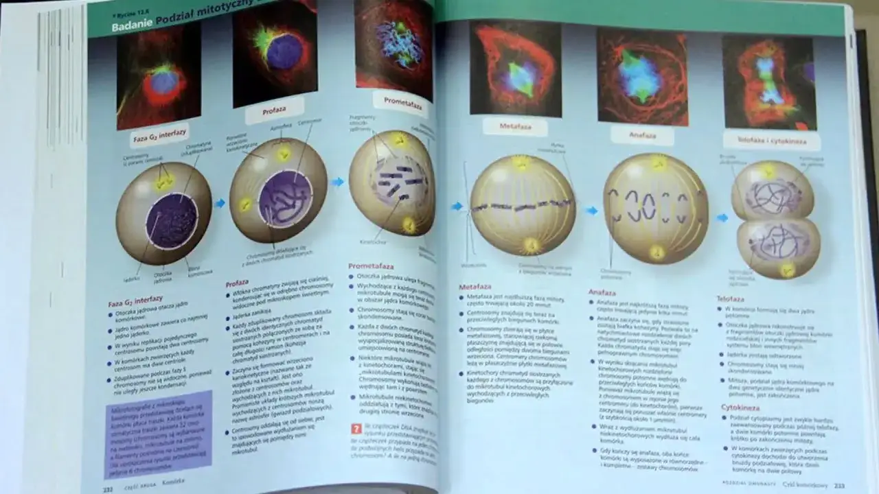 Biologia Villego czy Campbella – który podręcznik jest lepszy dla Ciebie?