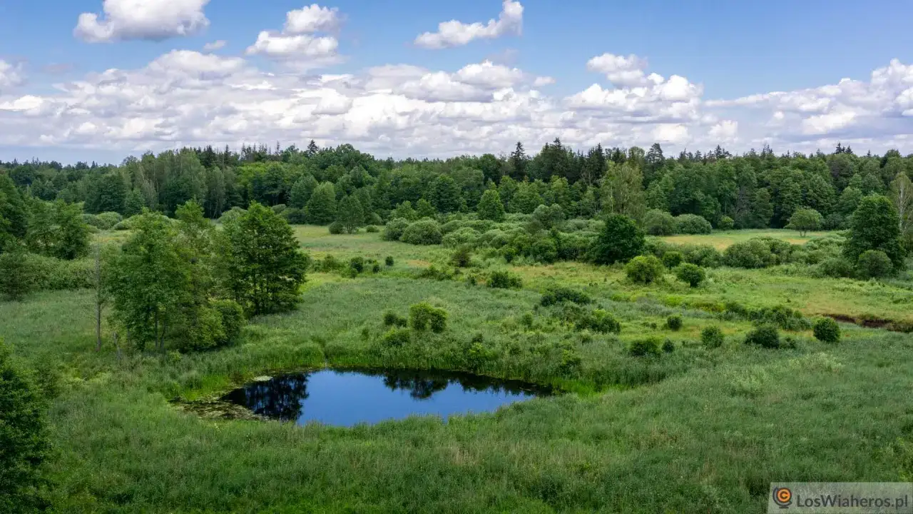 Atrakcje Podlasia: Odkryj nieznane skarby i piękno regionu
