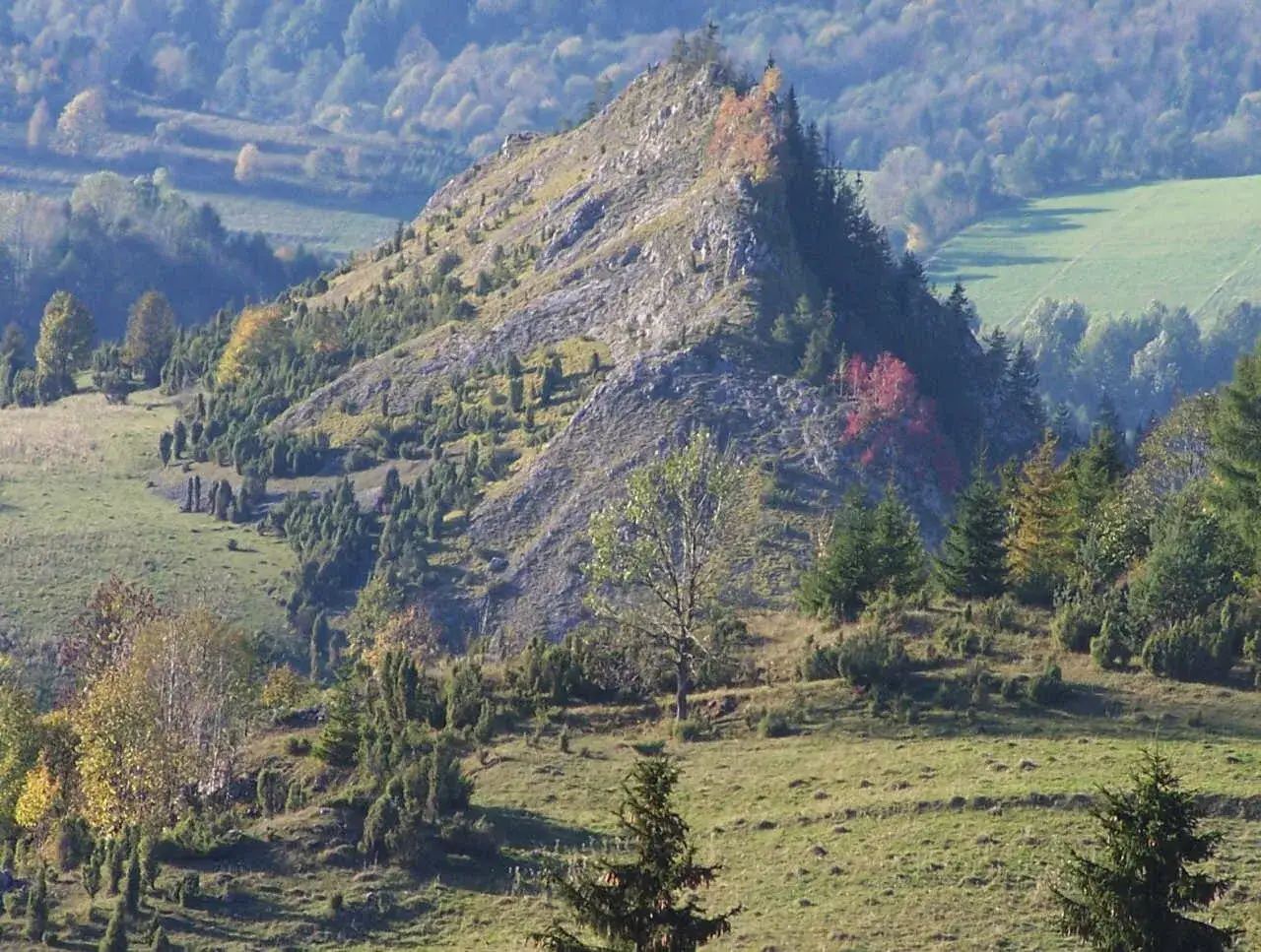 Rezerwat Biała Woda (Pieniny): Przewodnik po atrakcjach i planowaniu