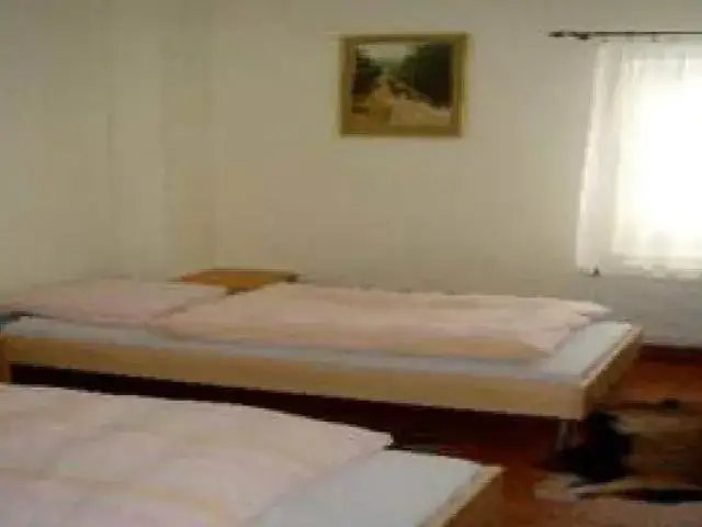 Stadnina koni Nowęcin - najlepsze jazdy konne i obozy jeździeckie